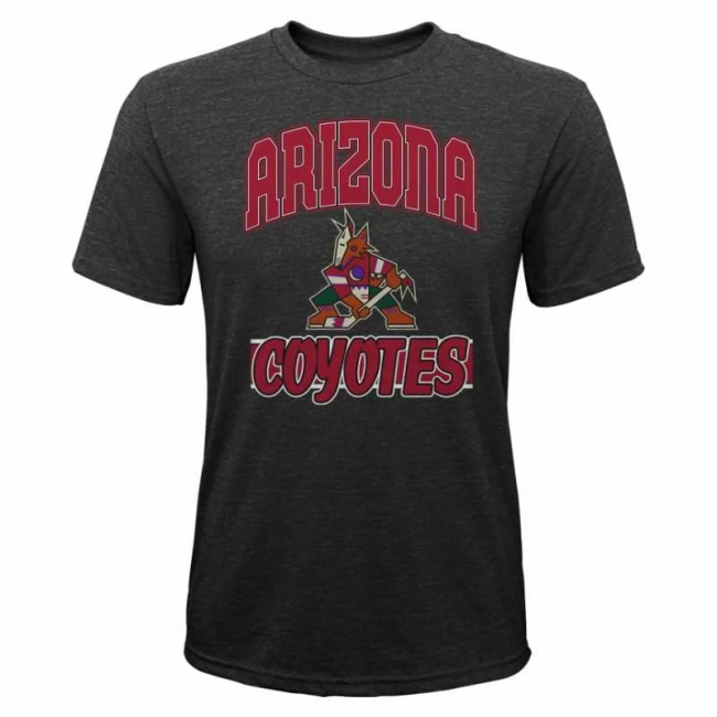 Tričko dětské ARI All Time SS Triblend Arizona Coyotes